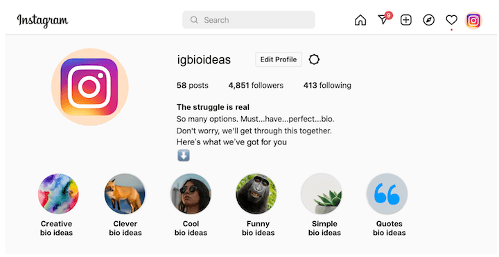 184 Best Instagram Bio Ideas, Examples & Templates