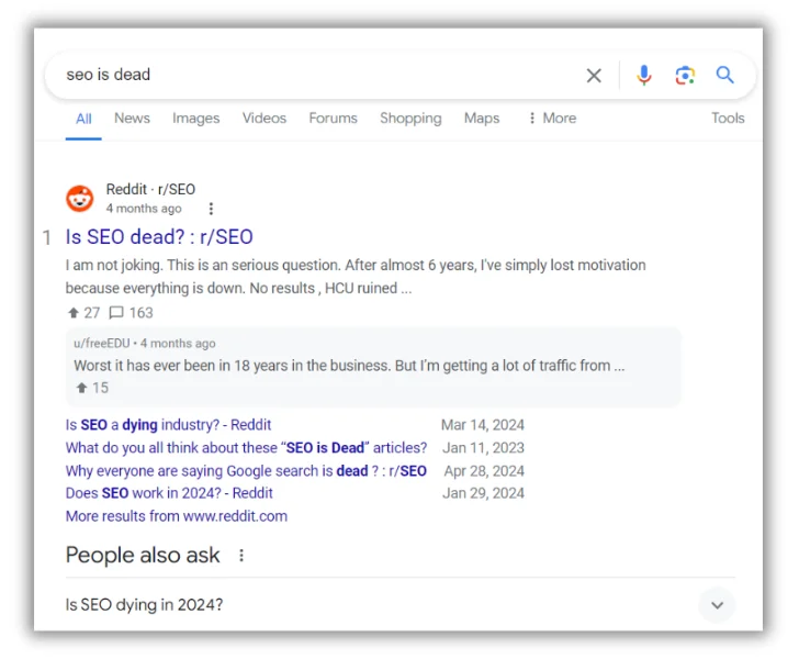 reddit results for is seo dead search