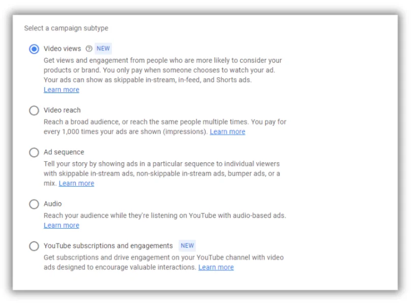 options for youtube ad campaign subtypes