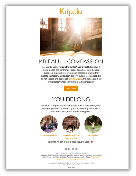 lead nurture brand story email example