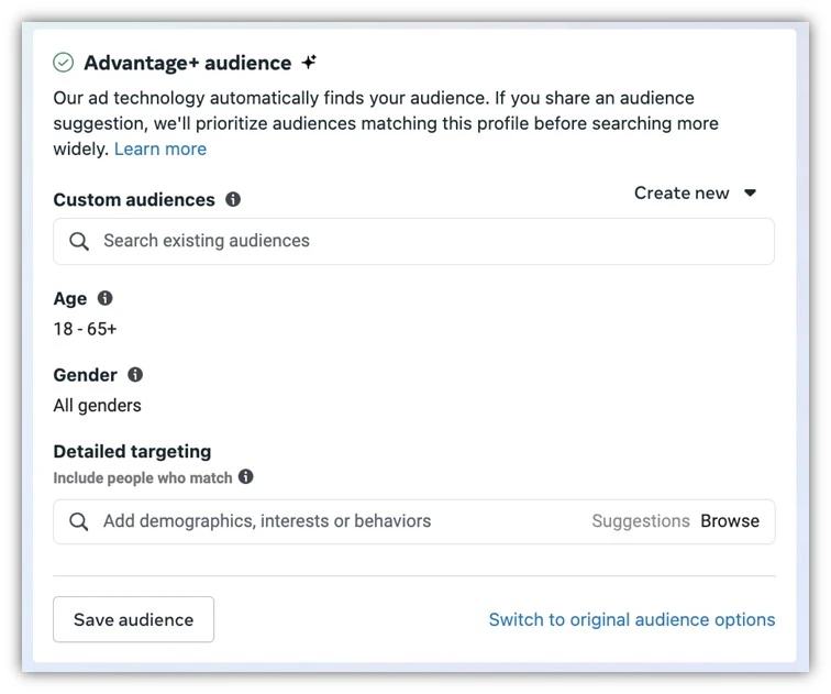 facebook ad targeting - advantage plus audience suggestion example