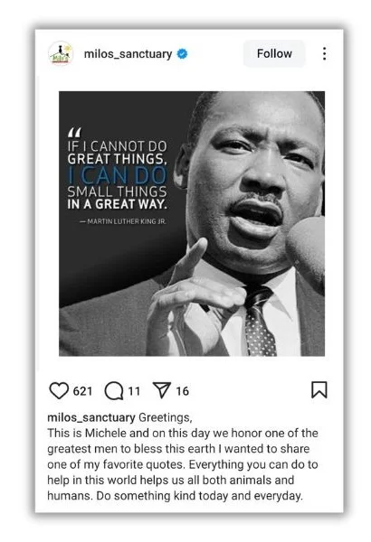 winter content ideas - social post with MLK quote.