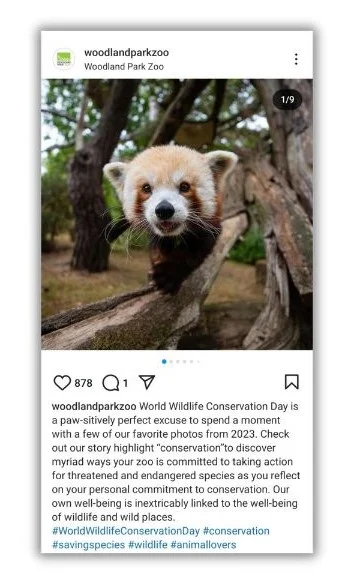 winter content ideas - World Wildlife Day social post.