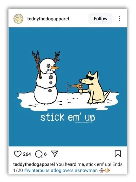 Winter puns - Instagram post with a snowman pun.