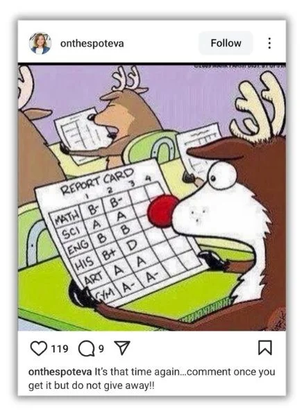 Winter puns - Instagram post with a holiday joke.