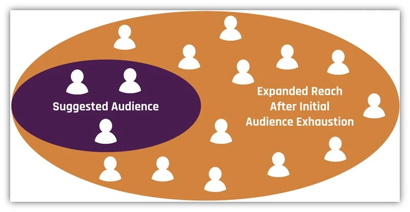 facebook ad trends - suggested audience example