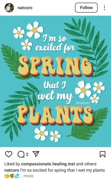 Spring puns - pun in an Instagram post.