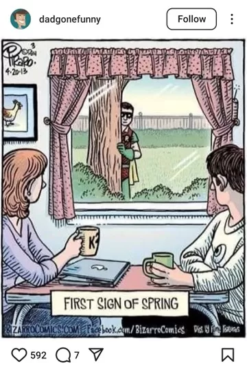 Spring puns - Funny pun in an Instagram post.