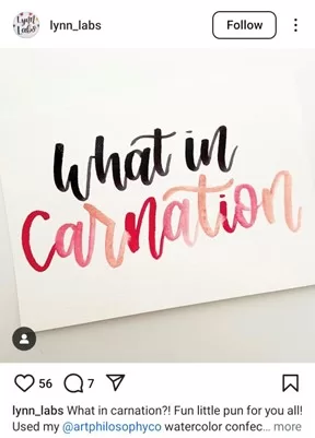 Spring puns - Garden pun in an Instagram post.