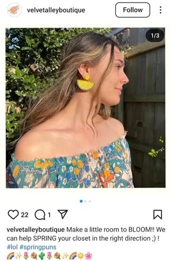 Spring puns - pun in an Instagram promotional post.