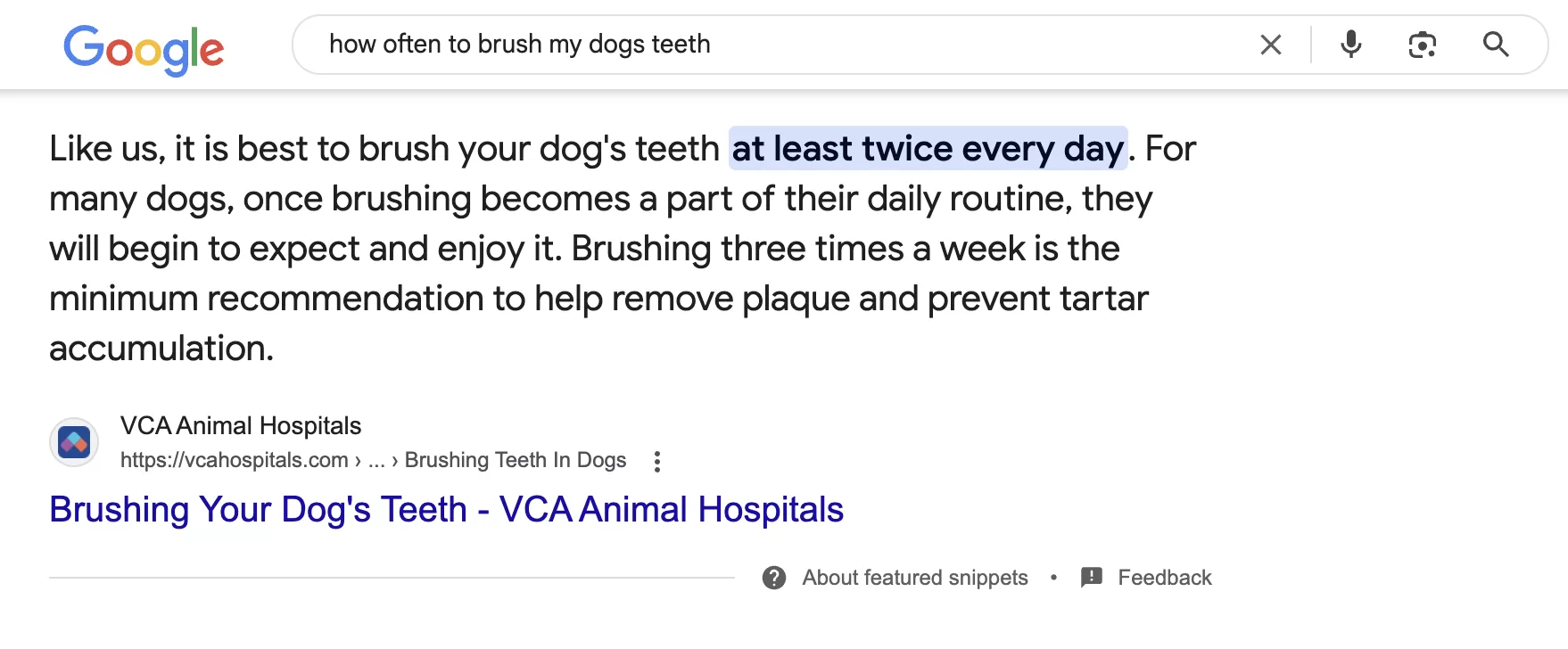 featured snippet example for how often to brush dogs teeth query