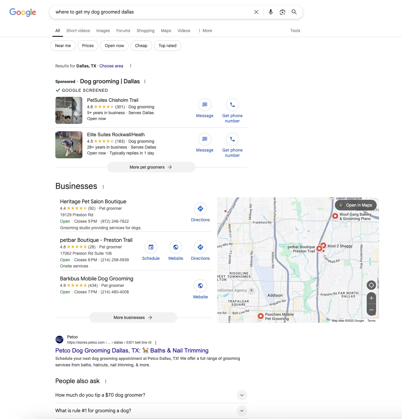 google ads example for pet groomers search