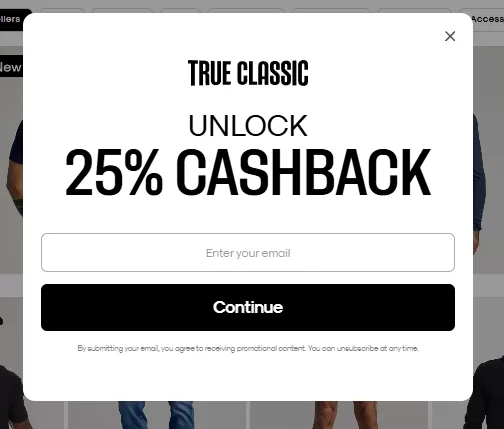 Personalized marketing - email popup from True Classic.